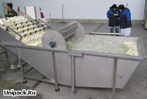 Моечная машина для овощей и фруктов