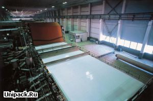 Производство целлюлозы