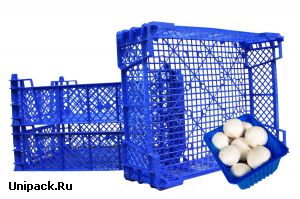 Грибной ящик