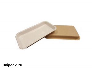 Лоток для кулинарии, сервировки и фасовки нарезок, овощей