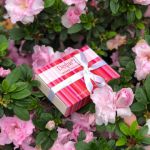 Подарочные коробки и коробки на заказ с логотипом на заказ от 100 штук